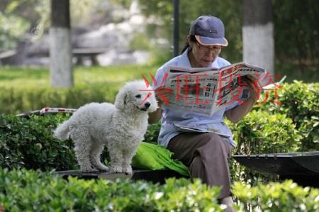 好聽(tīng)的寵物公司名字大全,高端好聽(tīng)有吸引力